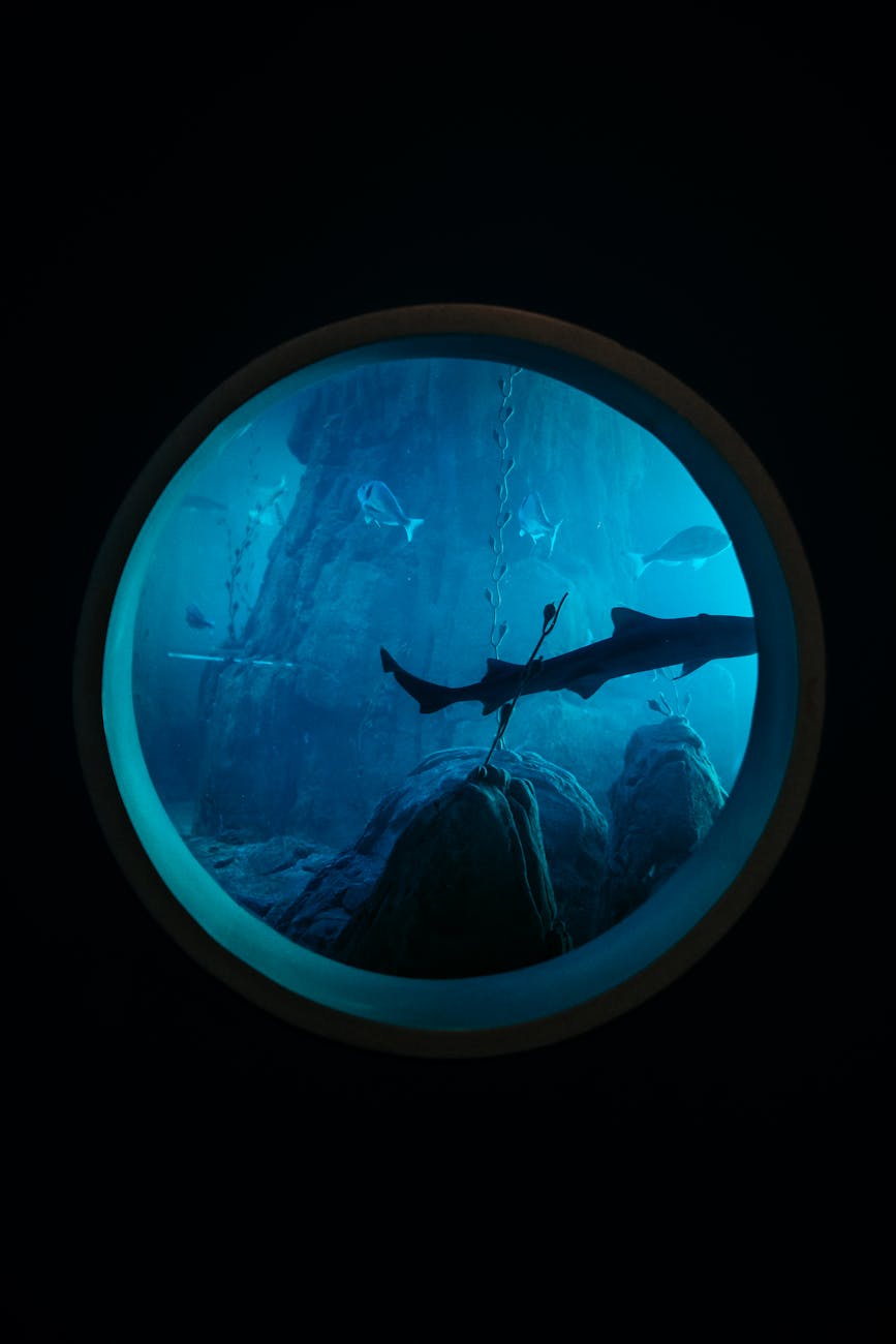 Aqua Trident – Part&nbsp;Five