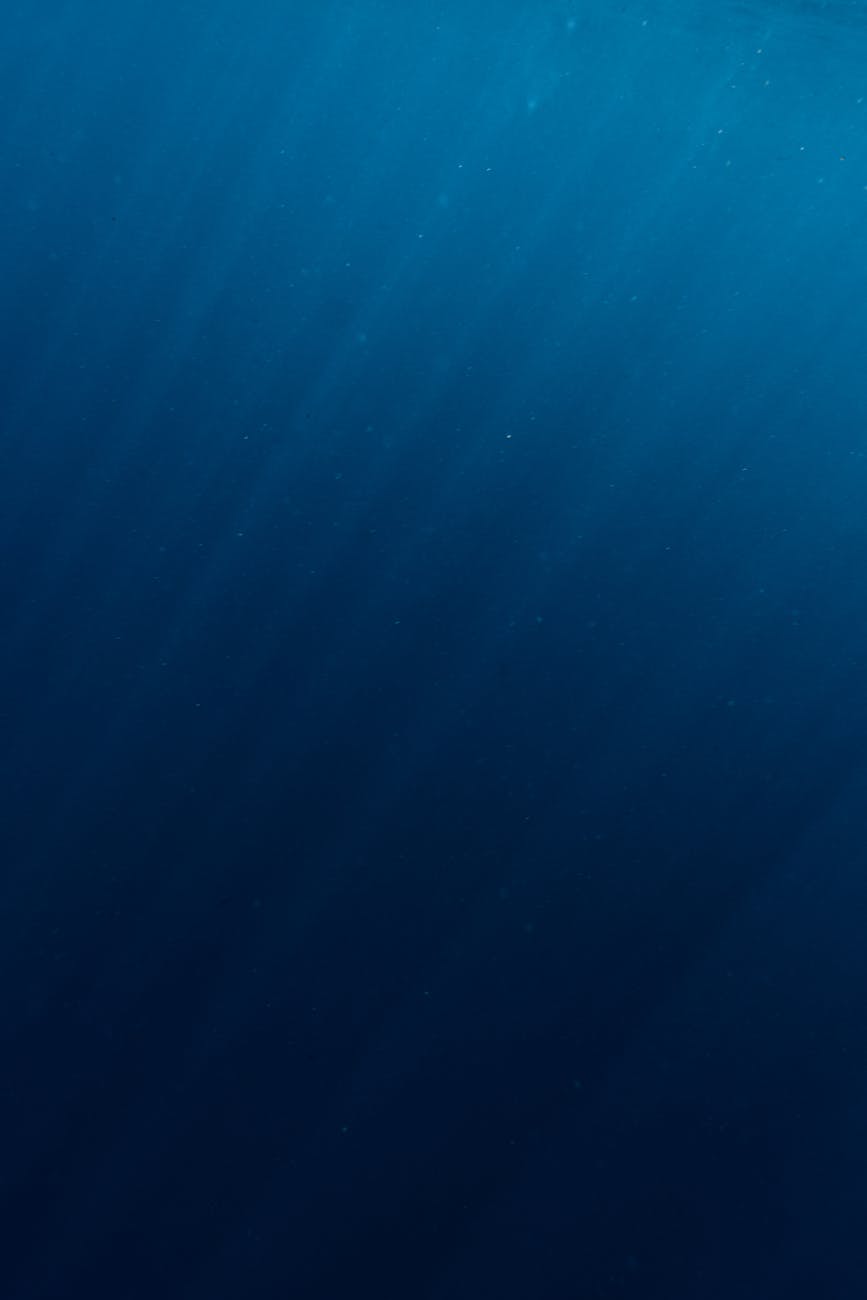 Aqua Trident – Part Four